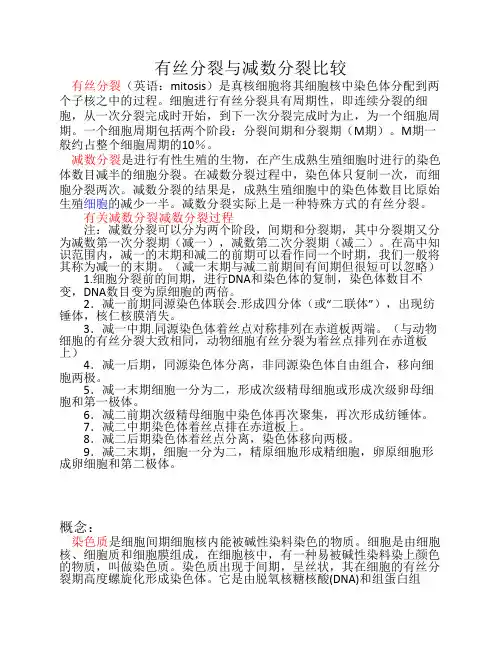 有丝分裂与减数分裂比较(直观全面)
