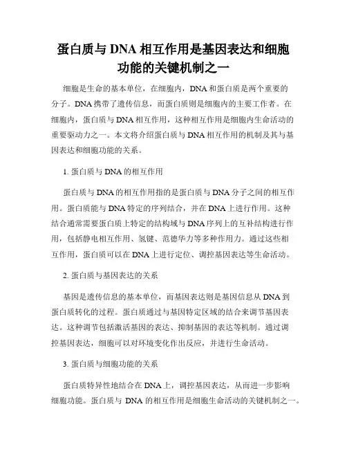 蛋白质与DNA相互作用是基因表达和细胞功能的关键机制之一