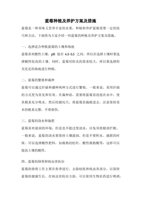 蓝莓种植及养护方案及措施