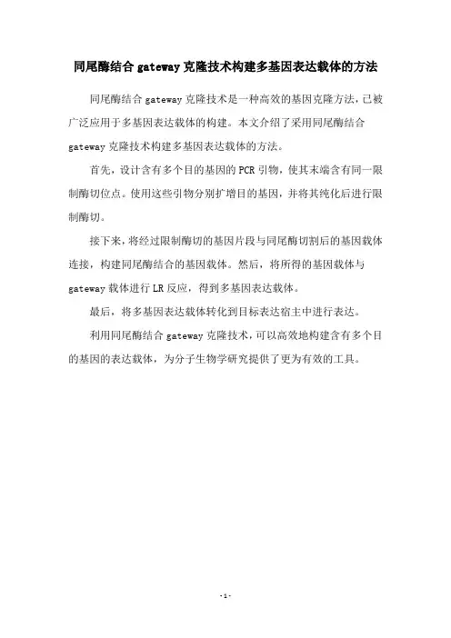 同尾酶结合gateway克隆技术构建多基因表达载体的方法