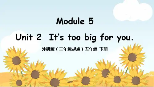 Module5Unit2It’stoobigforyou(课件)-英语五年级下册