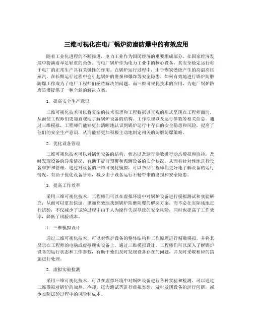 三维可视化在电厂锅炉防磨防爆中的有效应用