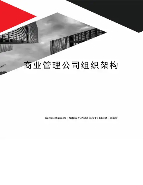 商业管理公司组织架构
