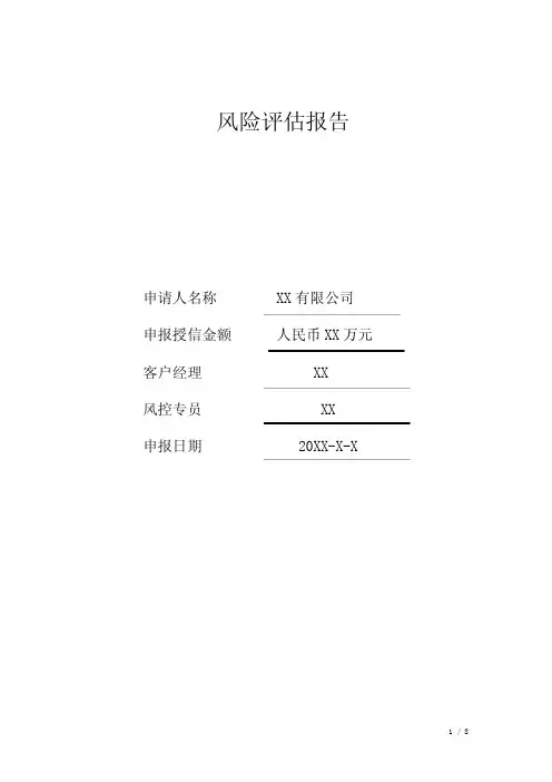 风险评估报告-XXX