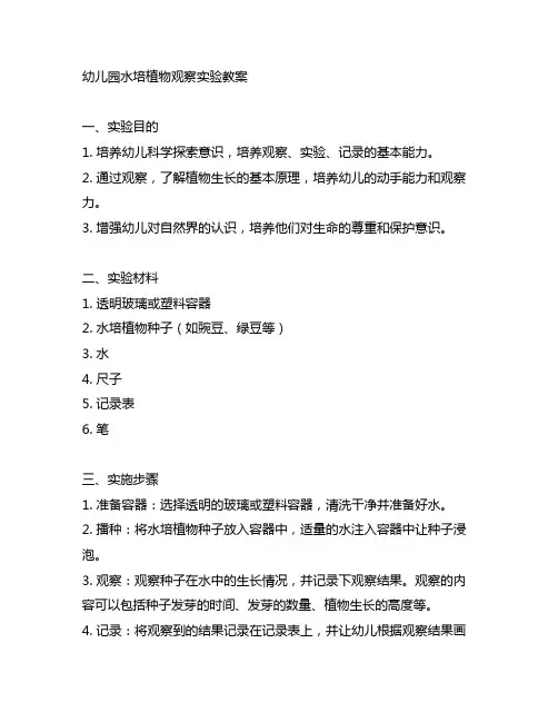 幼儿园水培植物观察实验教案 幼儿园科学