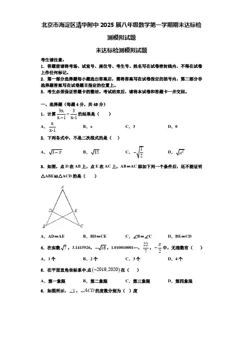 北京市海淀区清华附中2025届八年级数学第一学期期末达标检测模拟试题含解析
