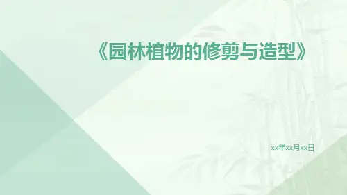 园林植物的修剪与造型