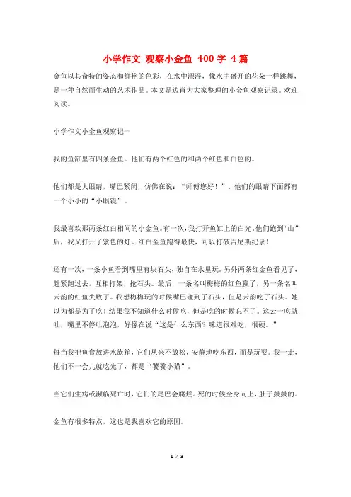 小学作文 观察小金鱼 400字 4篇