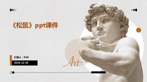 《松鼠》ppt课件.ppt