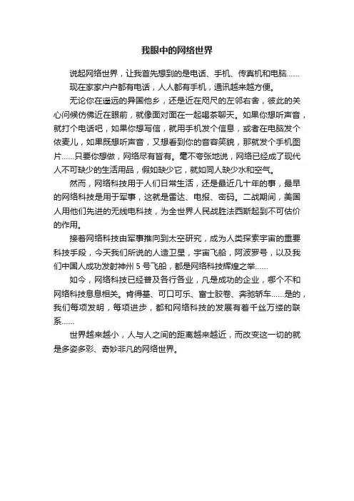我眼中的网络世界