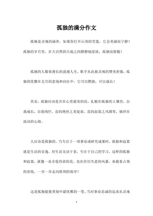 孤独的满分作文_1