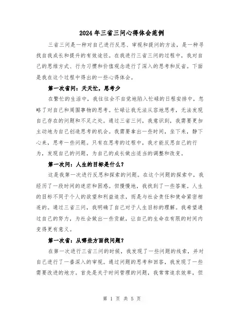 2024年三省三问心得体会范例(2篇)