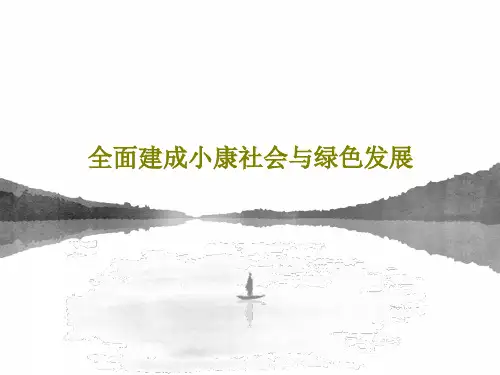 全面建成小康社会与绿色发展PPT文档58页