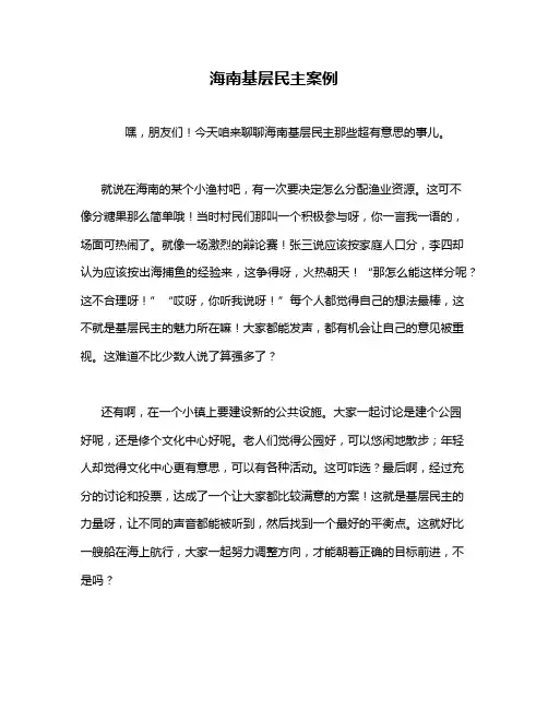 海南基层民主案例