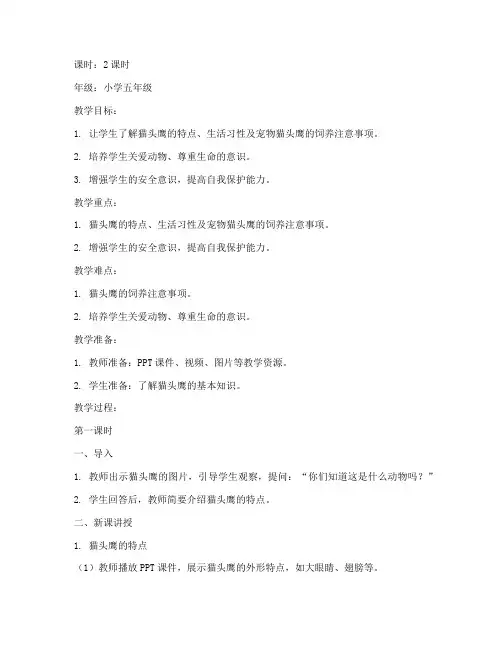 宠物猫头鹰安全教育教案