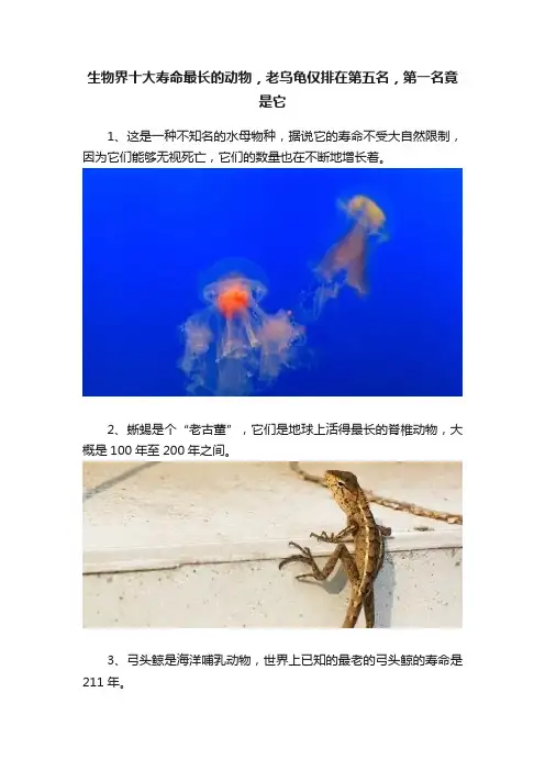 生物界十大寿命最长的动物，老乌龟仅排在第五名，第一名竟是它
