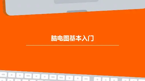 《脑电图基本入门》课件