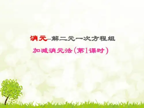 消元--解二元一次方程组《加减消元法》教学PPT课件   初中数学公开课