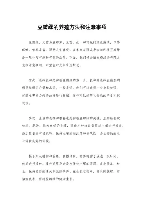 豆瓣绿的养殖方法和注意事项