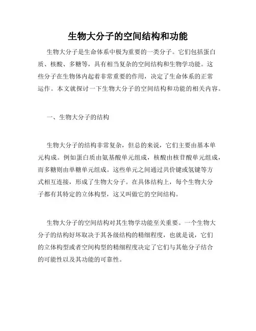 生物大分子的空间结构和功能