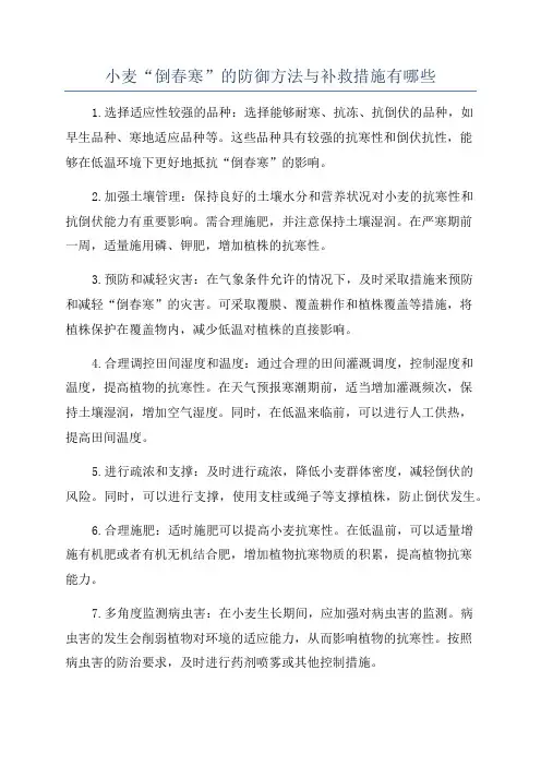 小麦“倒春寒”的防御方法与补救措施有哪些