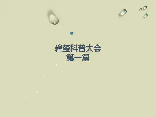碧玺