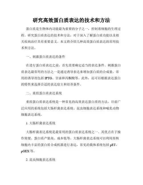 研究高效蛋白质表达的技术和方法