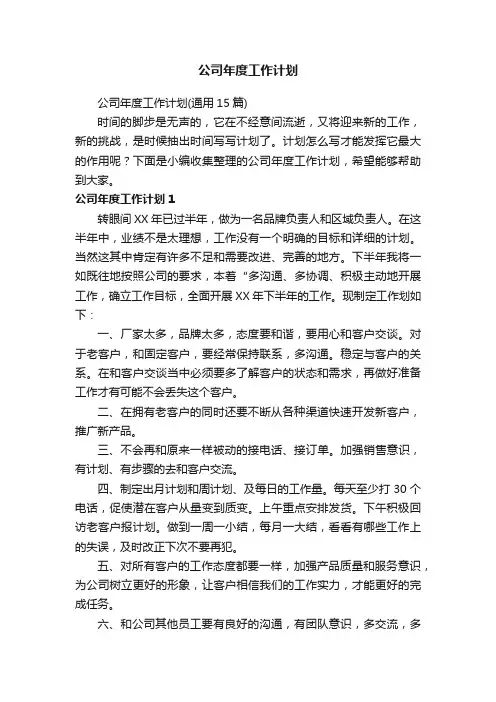 公司年度工作计划（通用15篇）