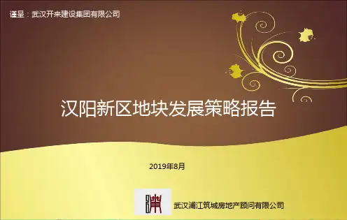 汉阳新区地块发展策略报告 61P