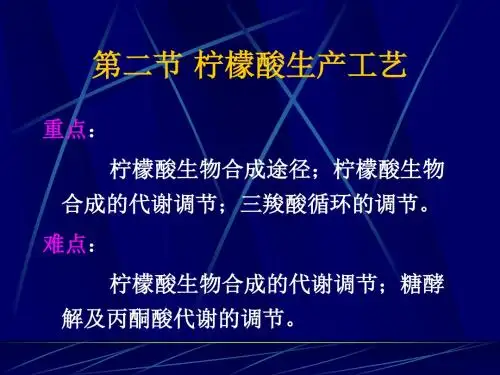 柠檬酸生产工艺