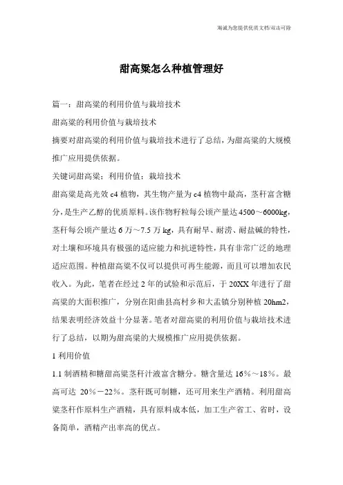 甜高粱怎么种植管理好