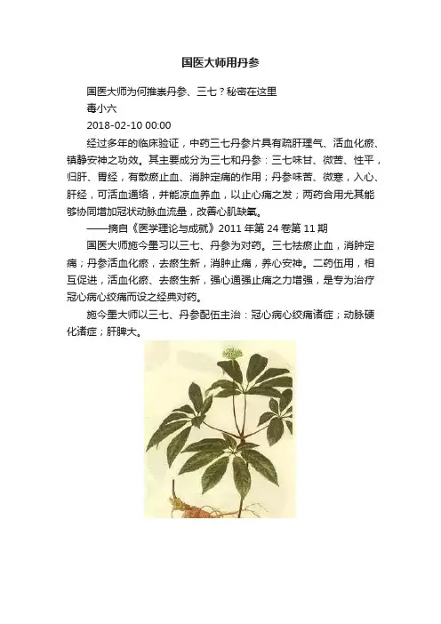 国医大师用丹参