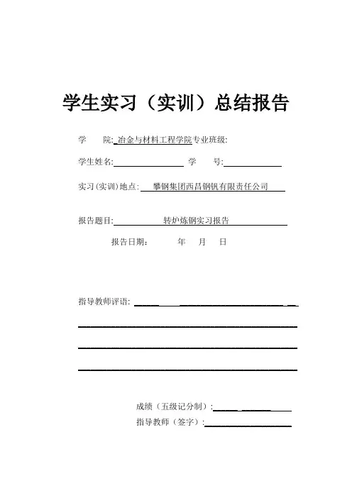 攀枝花钢铁集团西昌钒钛有限公司炼钢实习详解