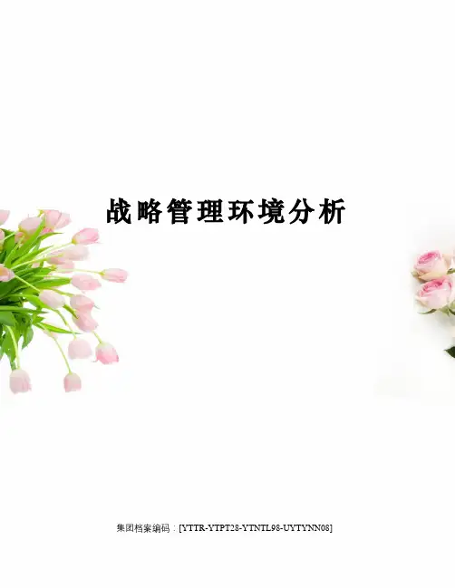 战略管理环境分析