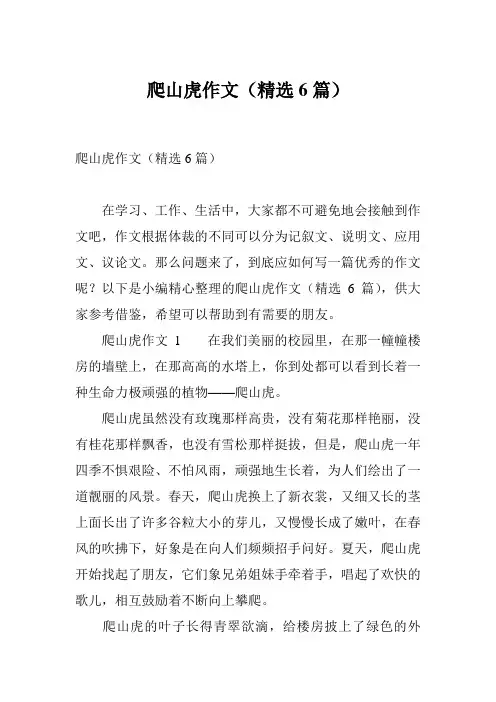 爬山虎作文(精选6篇)