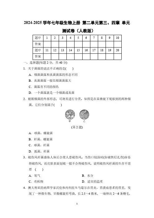 2024-2025学年七年级生物上册 第二单元第三、四章 单元测试卷(人教版)