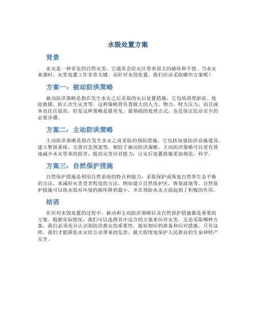 水毁处置方案