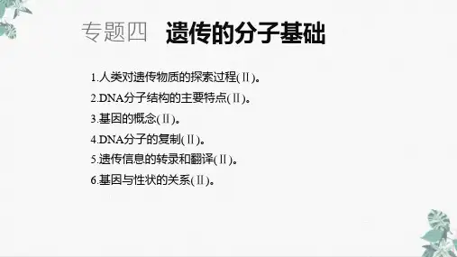 高考二轮复习资料-遗传的分子基础(PPT)