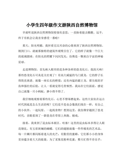 小学生四年级作文游陕西自然博物馆