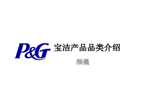 宝洁产品品类介绍