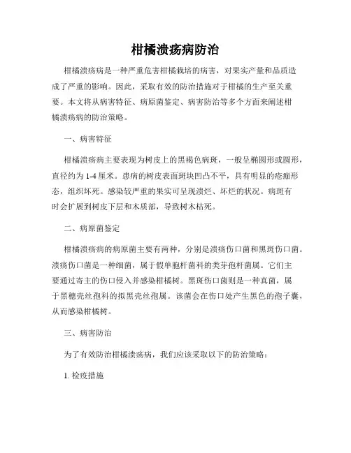 柑橘溃疡病防治