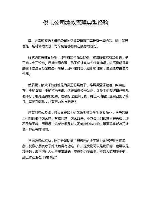 供电公司绩效管理典型经验