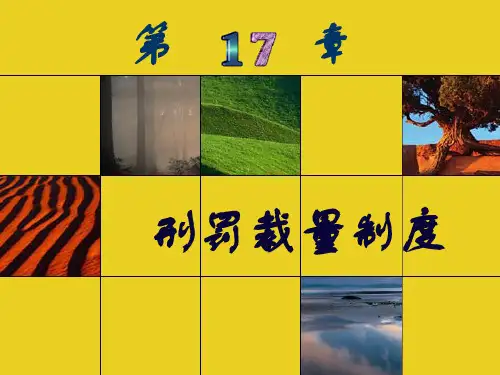 刑法总则17