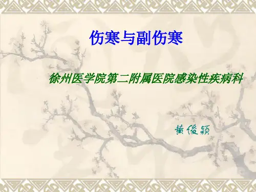 伤寒与副伤寒
