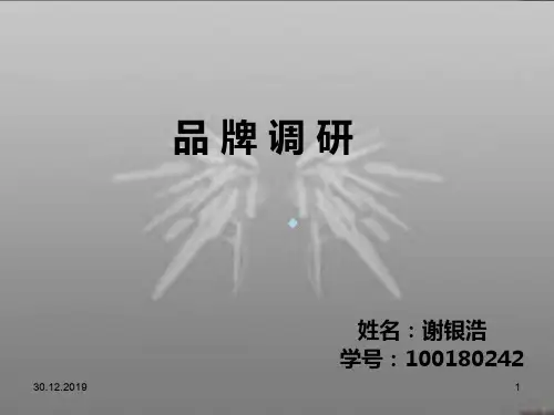服装品牌调研PPT课件