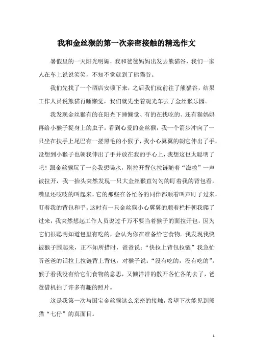 我和金丝猴的第一次亲密接触的精选作文
