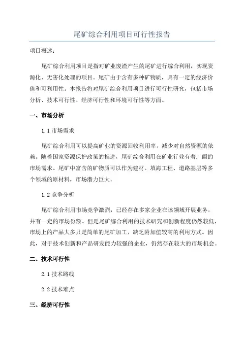 尾矿综合利用项目可行性报告