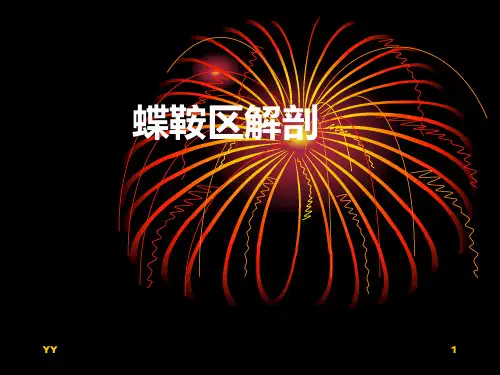 鞍区解剖ppt课件