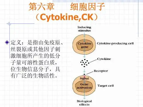 细胞因子
