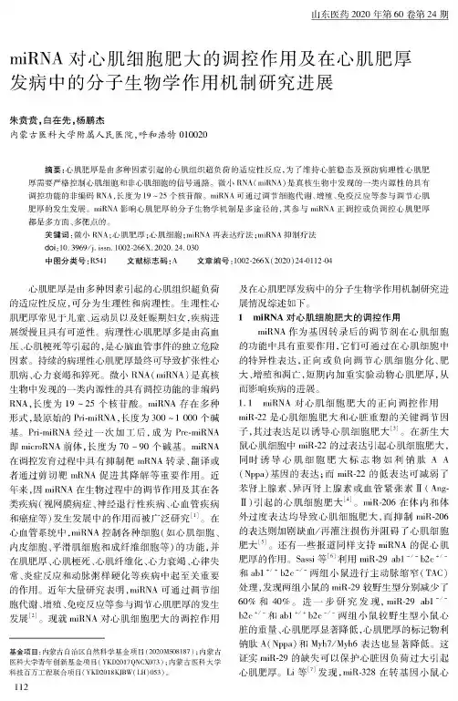 miRNA对心肌细胞肥大的调控作用及在心肌肥厚发病中的分子生物学作用机制研究进展